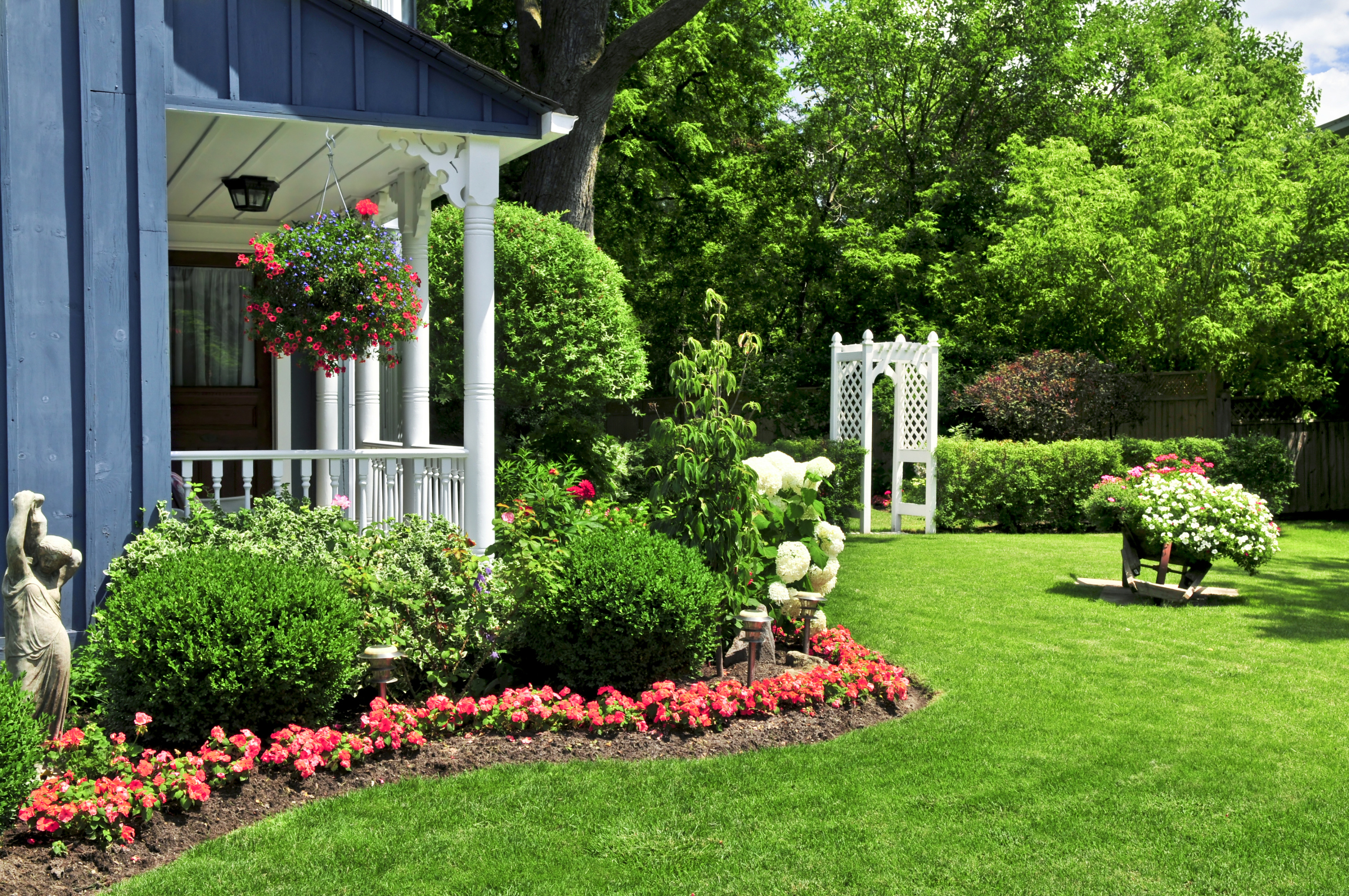 Front yard of a house