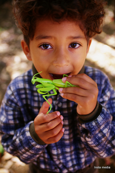 Boy biting toy praying mantis