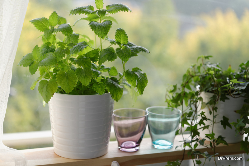 Indoor-Kitchen-Herb-Garden