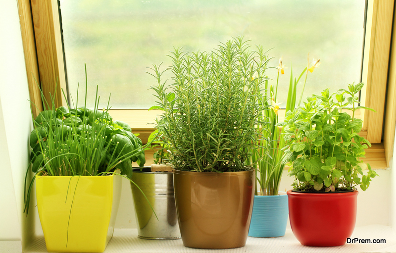 Indoor-Kitchen-Herb-Garden